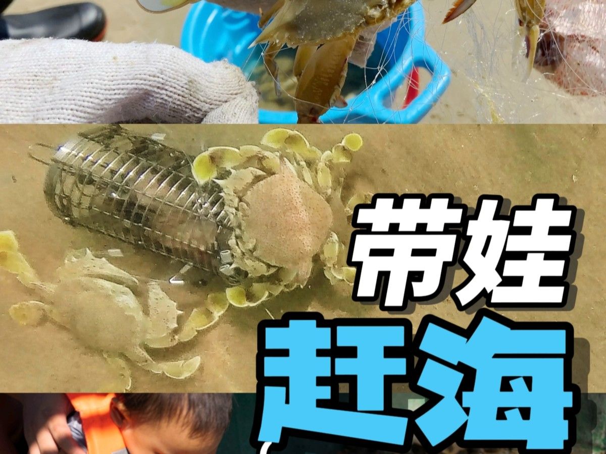 带娃海南陵水清水湾赶海的3种方法，5种工具详解，最快乐的是体验