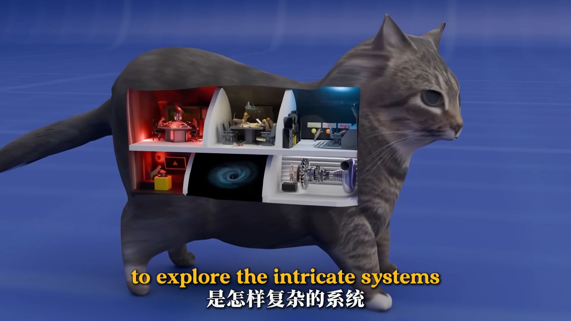 英配｜猫的底层操作系统