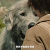 灵犬雪莉①：小正太遇上大白狗，故事开始了