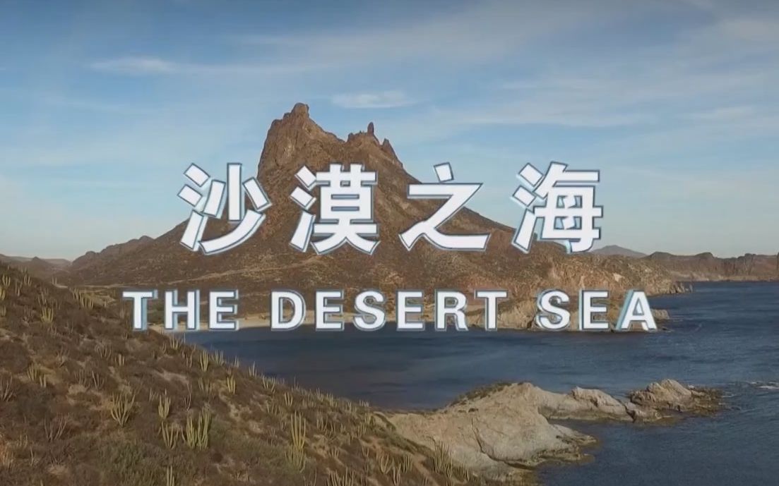 【央视】《沙漠之海》【全2集 1080P+】