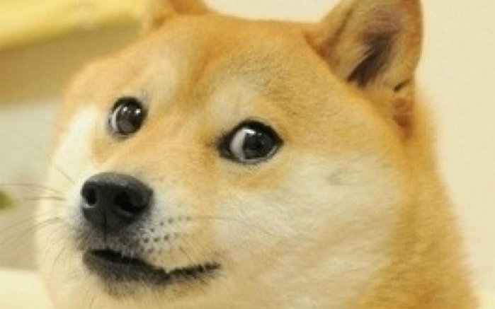 钛合金狗眼的来源?