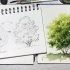 【水彩教程】怎样画树/画树的思路分析和步骤/附字幕文字讲解
