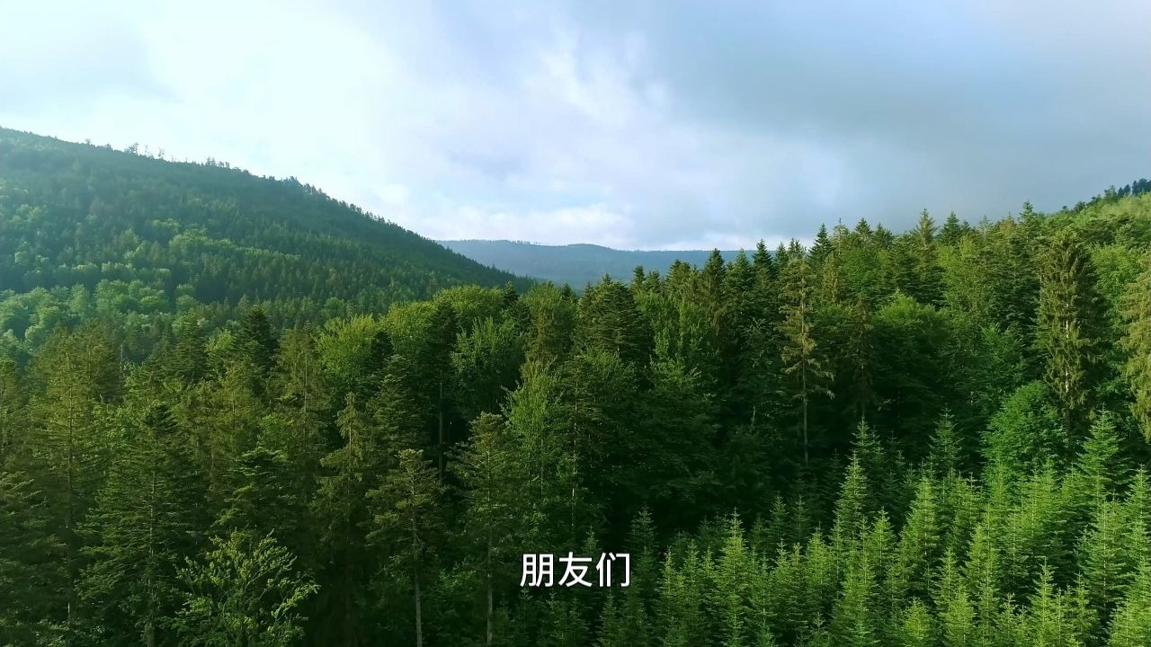 千万别再用所谓的自律来鞭策自己了！《道德经》中的顶级秘密：越自律就越失控！