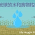 【Life Noggin】如果地球的水和食物枯竭了? (中文字幕)