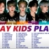 【playlist】‖【stray kids】最新完整歌单（更新至2022）