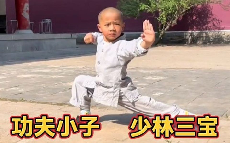 少林寺最萌的武僧教头，二岁学武六岁上央视舞台，演示中国功夫。