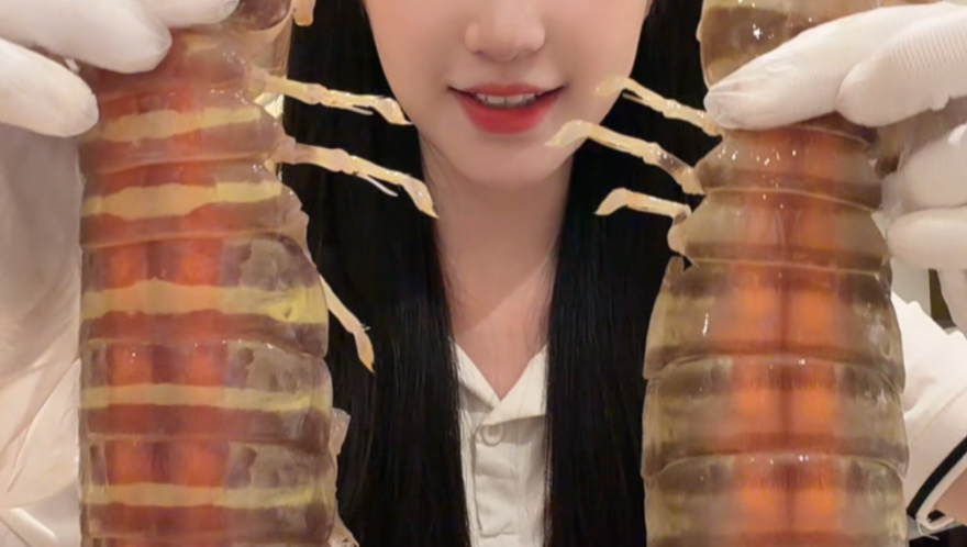 虾蛄巨兽