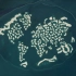 用300个岛屿组成世界地图，迪拜“世界岛”项目，为什么成为了烂尾岛？