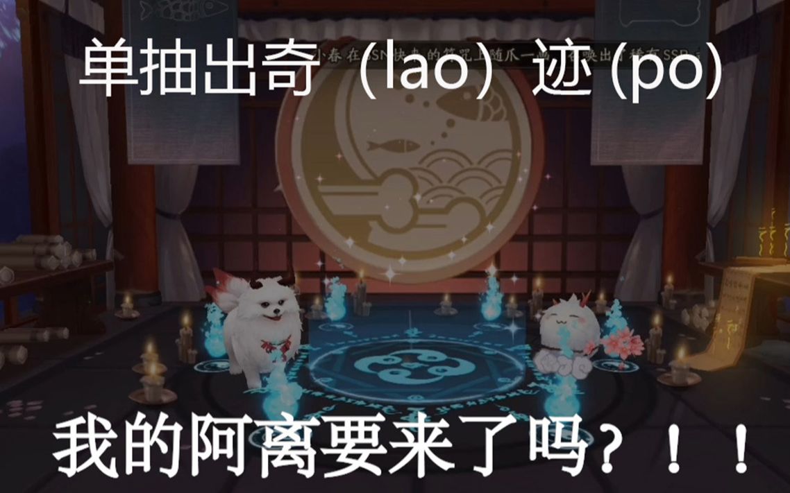 【阴阳师】单抽出奇(lao)迹(po)哔哩哔哩 (゜゜)つロ 干杯~bilibili