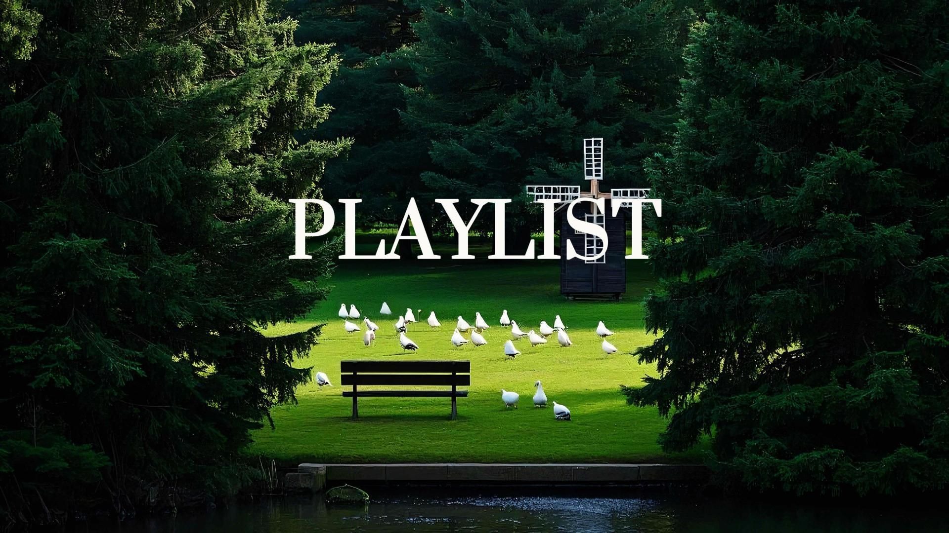 【Playlist歌单】| “别再一头撞向无边的黑暗，当我们每一个人都沐浴在爱的光之下” | 小众宝藏歌单 | 治愈 温柔 舒适