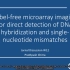【DNA微阵列芯片文献汇报】<中英字幕>Label free microarray imaging for direct