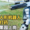 宇树人形机器人 下地打药 已在果园上岗