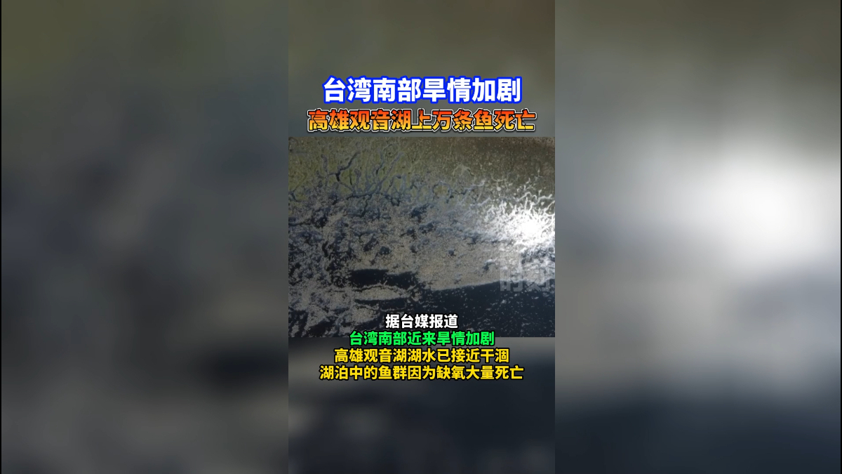 台湾南部旱情加剧！高雄观音湖上万条鱼死亡