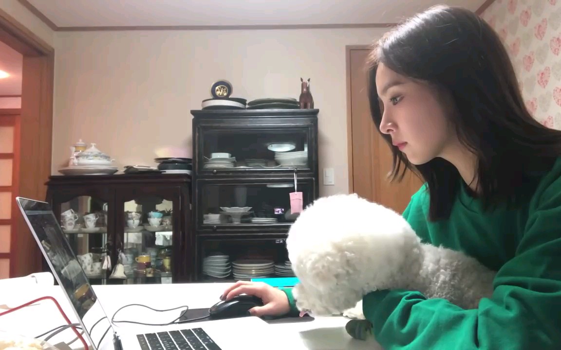 【sjkuksee申世京】vlog合集♡   韩国演员申世京小姐姐的日常生活记录(持续更新)