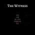 【炖僵尸】The witness直播回放