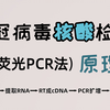 新冠病毒核酸检测(荧光PCR法)原理