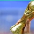 十个关于世界杯奖杯的秘密！你都知道吗？