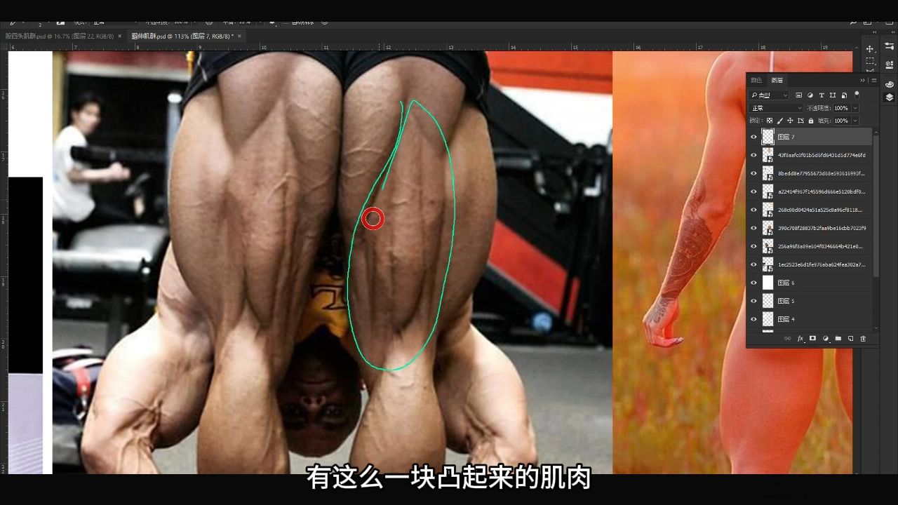 【干货】腘绳肌群：股二头肌长头、短头、半腱肌、半膜肌分享，别错过！