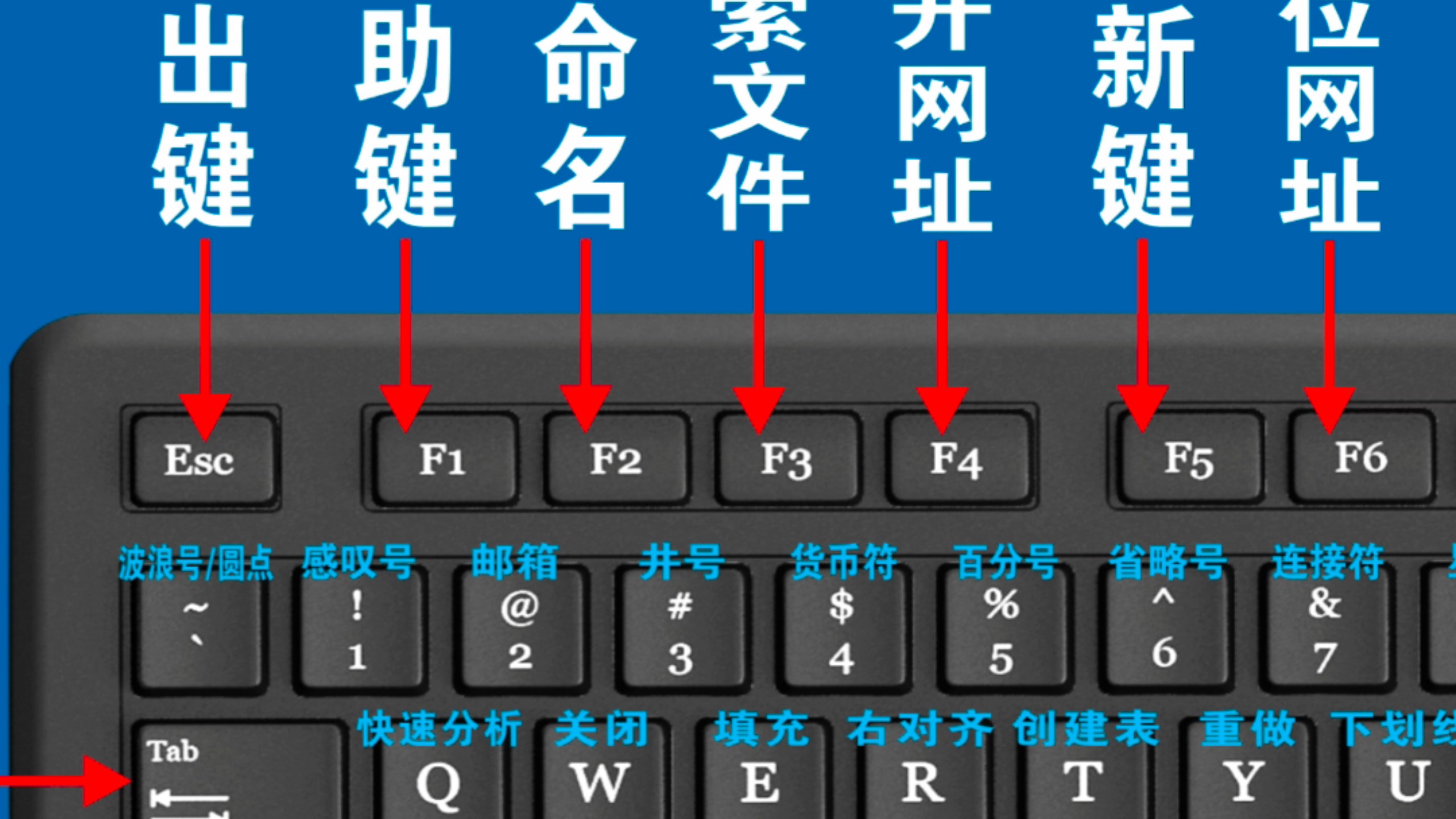 【阿伟Excel教学】最新视频已上线，快来围观！