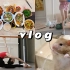 「舞蹈生vlog」捡到金丝熊/日常练功/家庭聚餐/周末日常