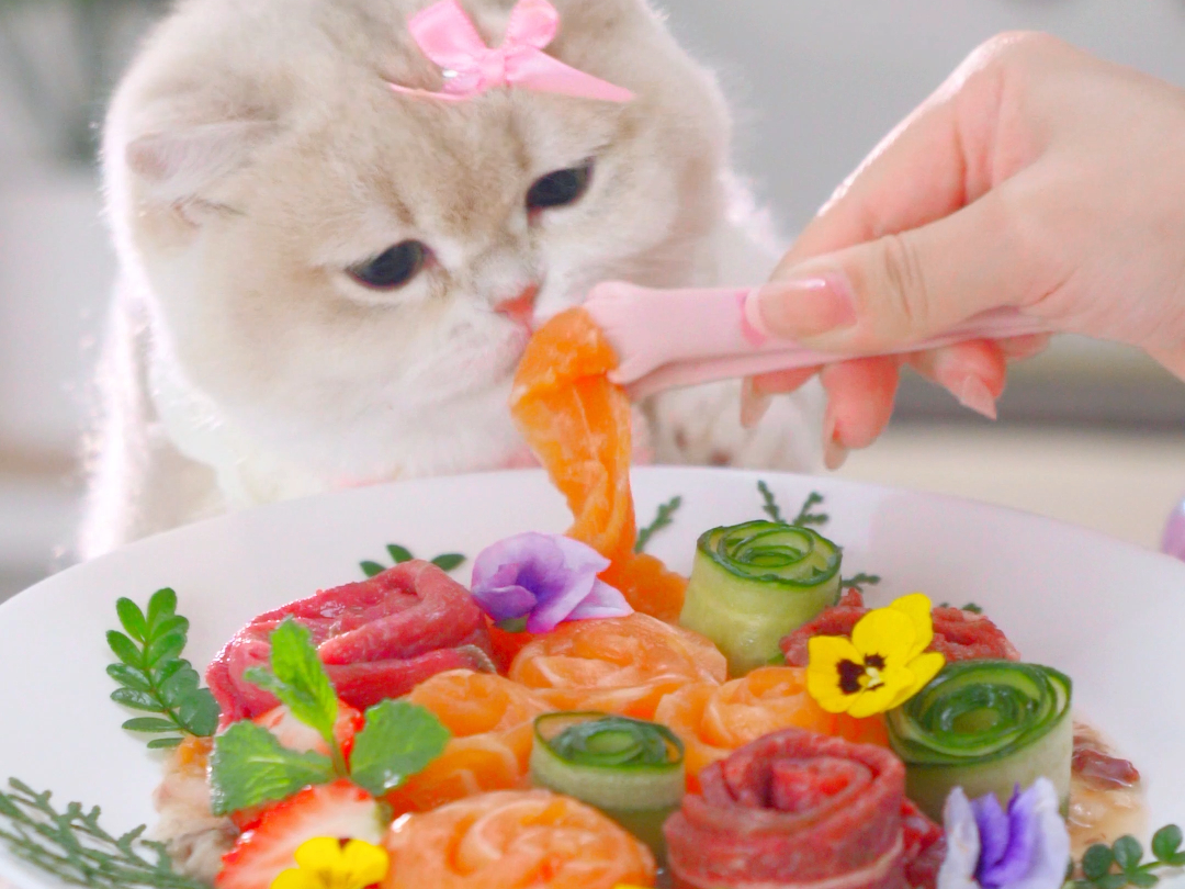 猫猫吃花花大餐，好看到不舍的吃！