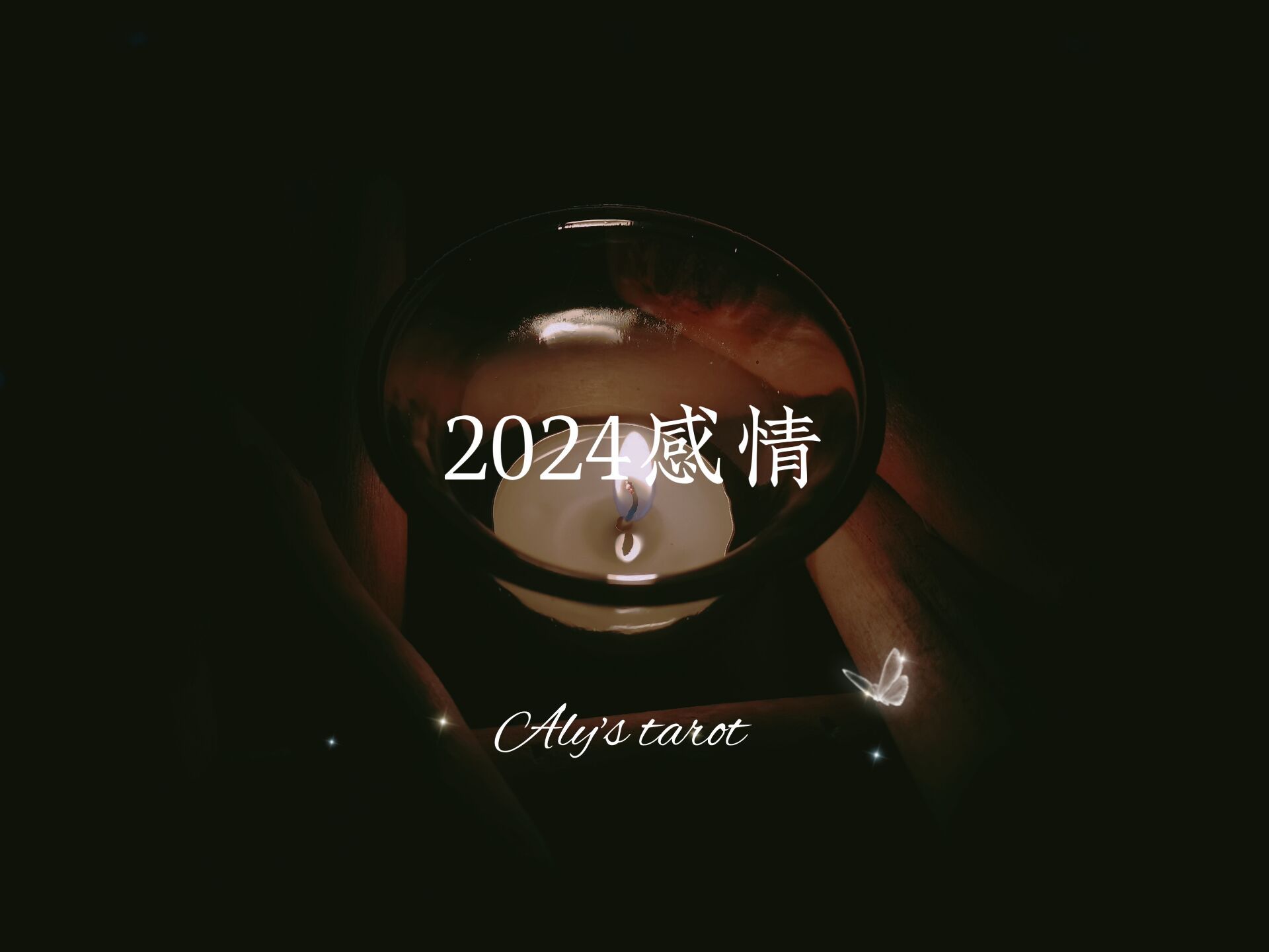 【Aly塔罗】2024感情