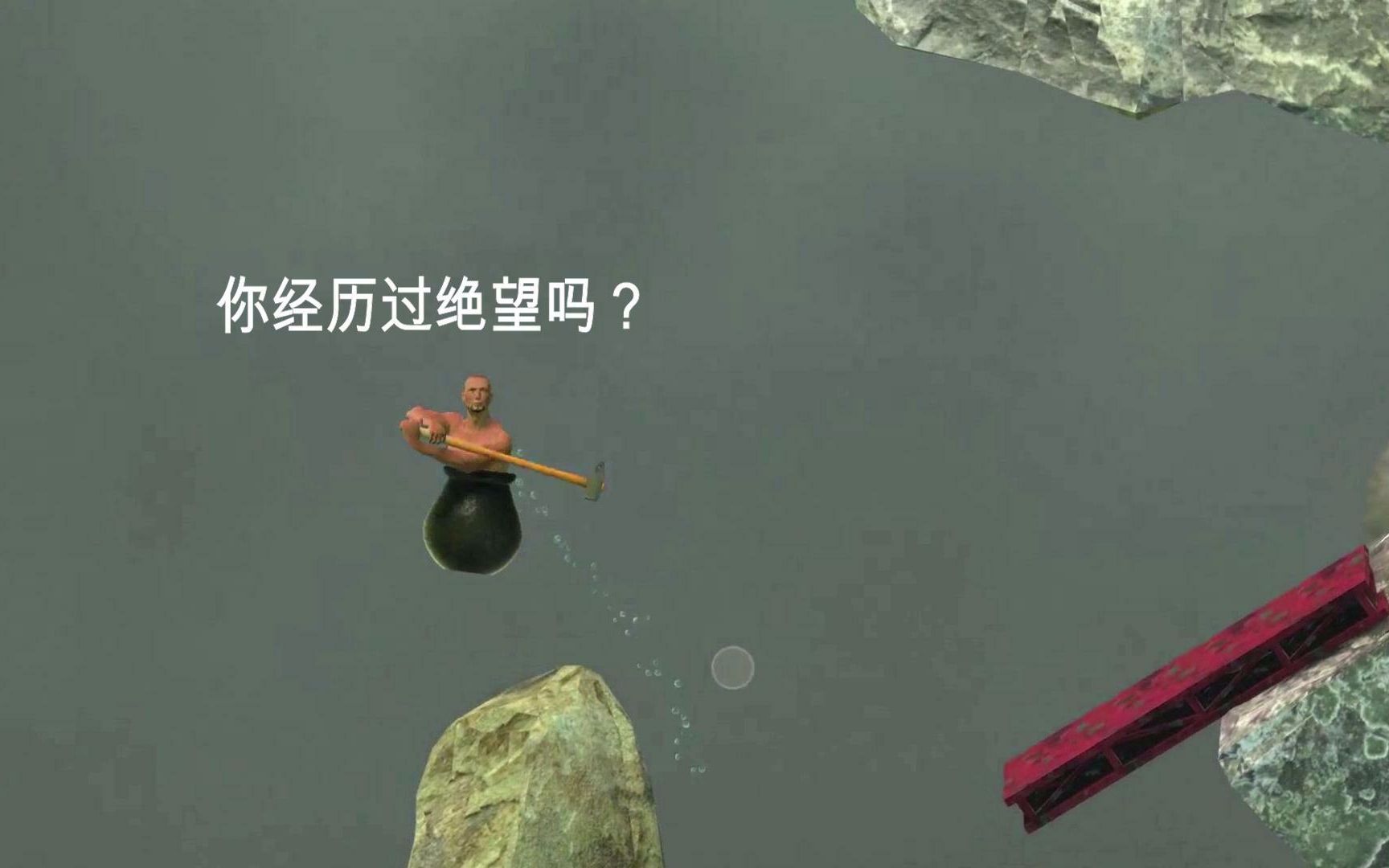 【橙子猫】你经历过绝望吗?