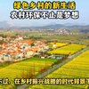 2024年，应该非转农还是农转非