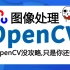 【2021全网最全！】基于python的OpenCV项目实战教程 OpenCV从入门到实战全套课程！OpenCV实战/O