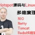 深入Hotspot源码与Linux内核，黄俊（阿里-伯曦）2天教你多维度理解NIO、Netty、Tomcat、Redis