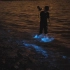这是少年派的荧光海