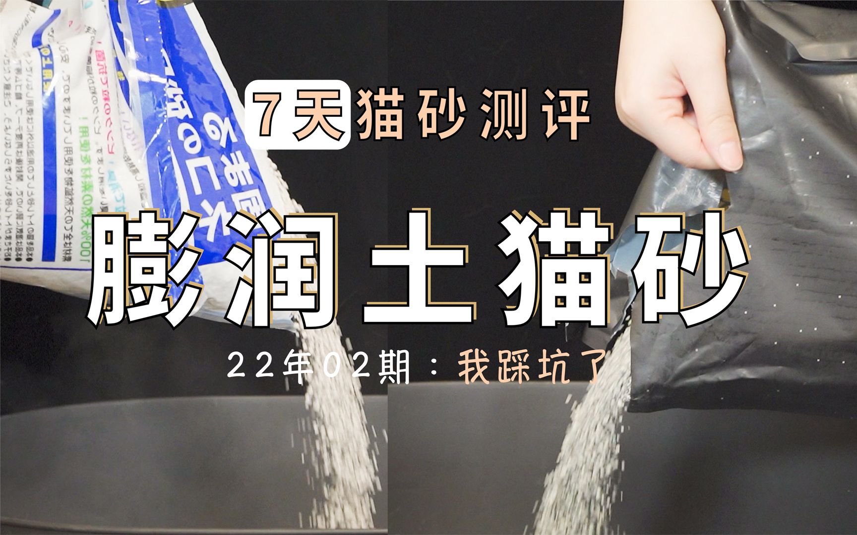 让人窒息的膨润土猫砂粉尘，以及挖到宝藏的国产猫砂，便宜好用|22年02期猫砂测评