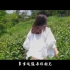 【杨丞琳】 - 《水墨如烟》官方正式版MV《遇见·徽州》推广曲