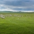 《航拍中国·内蒙古》呼伦贝尔大草原 风吹草低见牛羊