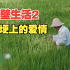 挂逼生活2：田埂上的爱情