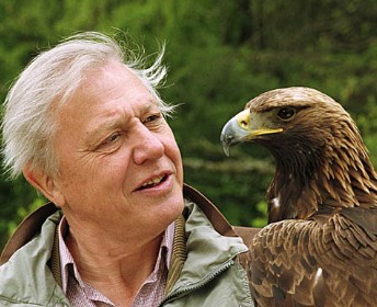 探秘大自然【bbc:大卫·爱登堡自然野外探索60年ep02】