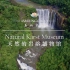 《美丽中国 天然的岩溶博物馆》-Natural Karst Museum