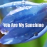 You Are My Sunshine伴奏accompaniment Karaoke