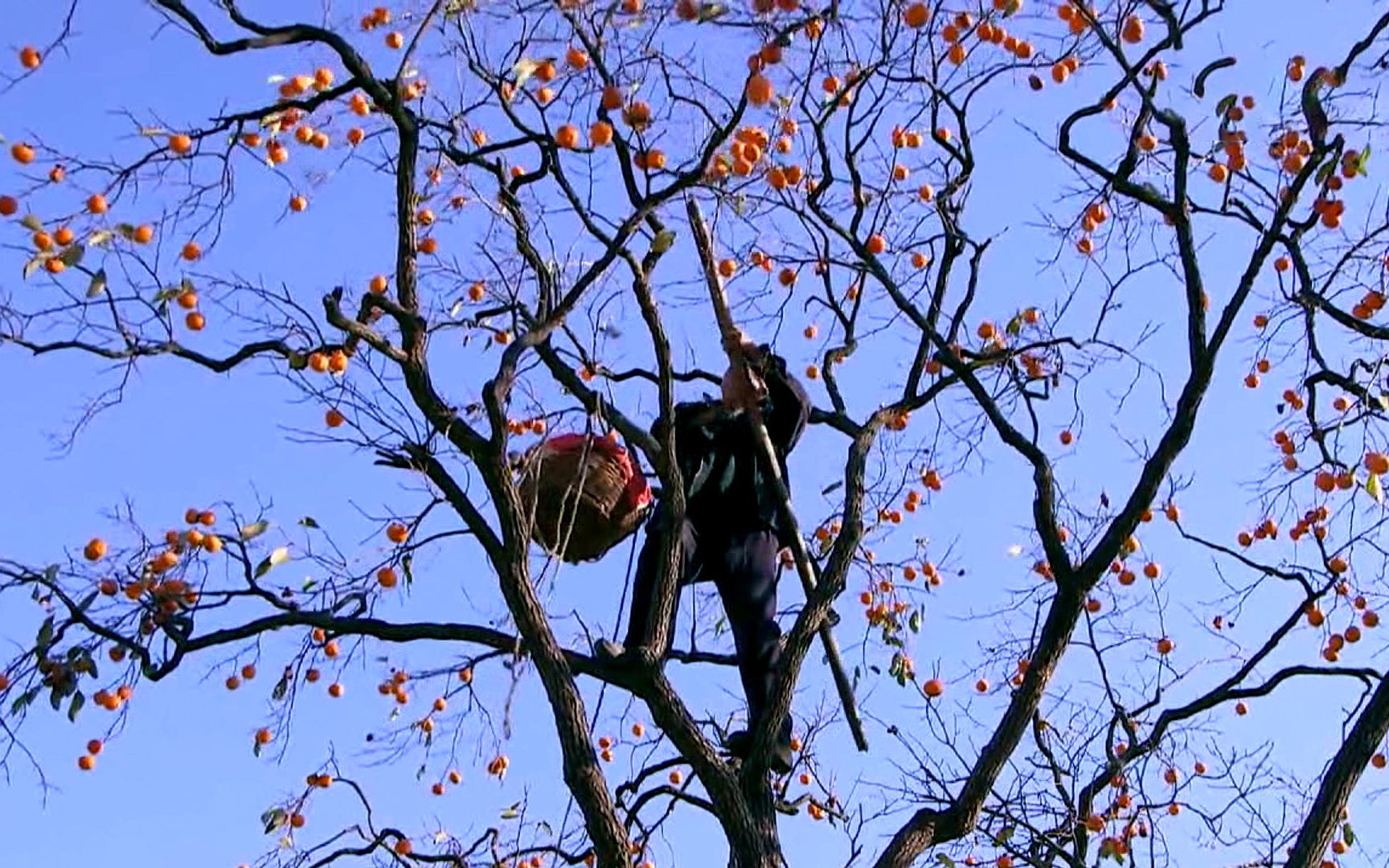 【越哥】豆瓣9.3分，敢这么拍的国产片太少见了，不要因为名字错过它！