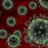 流感4：流感病毒是什么？