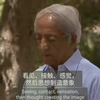 “思想制造意象，这就是人生迷梦的开始。我们原本都有空，空的美，空的宁静，空的深度，——宇宙的美和心中的道德律，我认为那道德律就是我们心中星空的空，天空的空，容