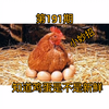 第191期，判断鸡蛋是不是还新鲜的小方法