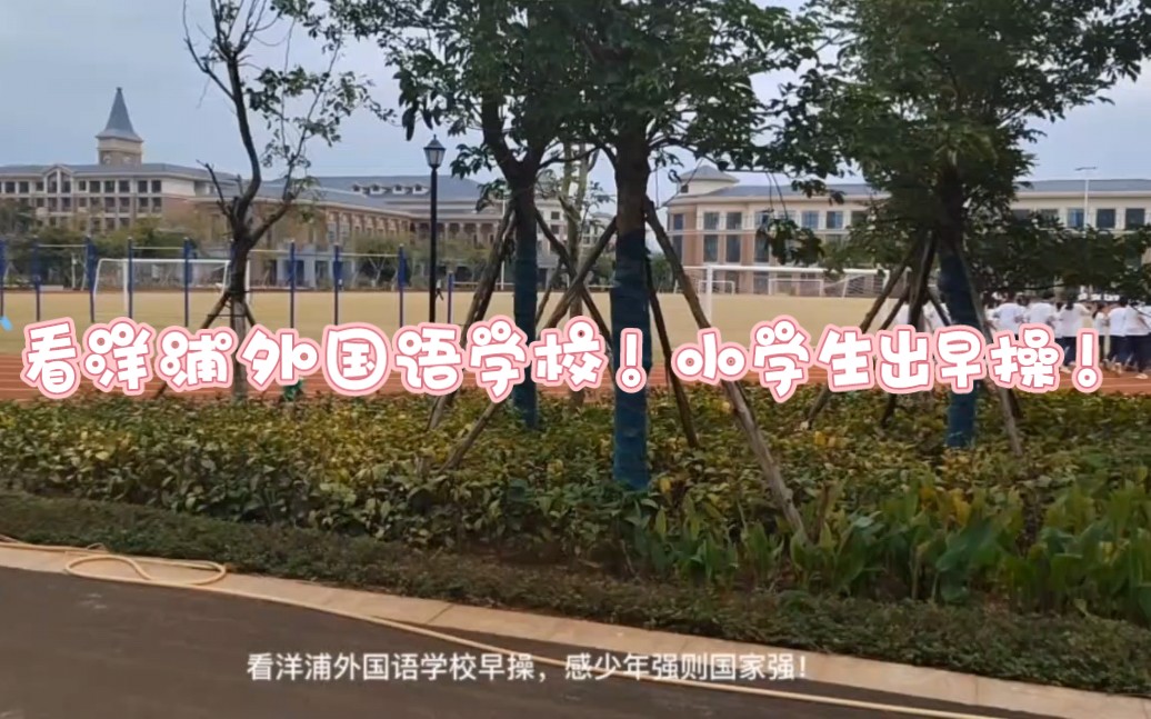 看洋浦外国语学校!