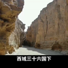 中国历史，新疆西域三十六国下