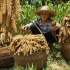 黄小米大丰收，阿婆跟女儿花6小时制作传统糍粑，满满爱的味道