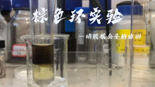 棕色环实验——硝酸根离子的检测
