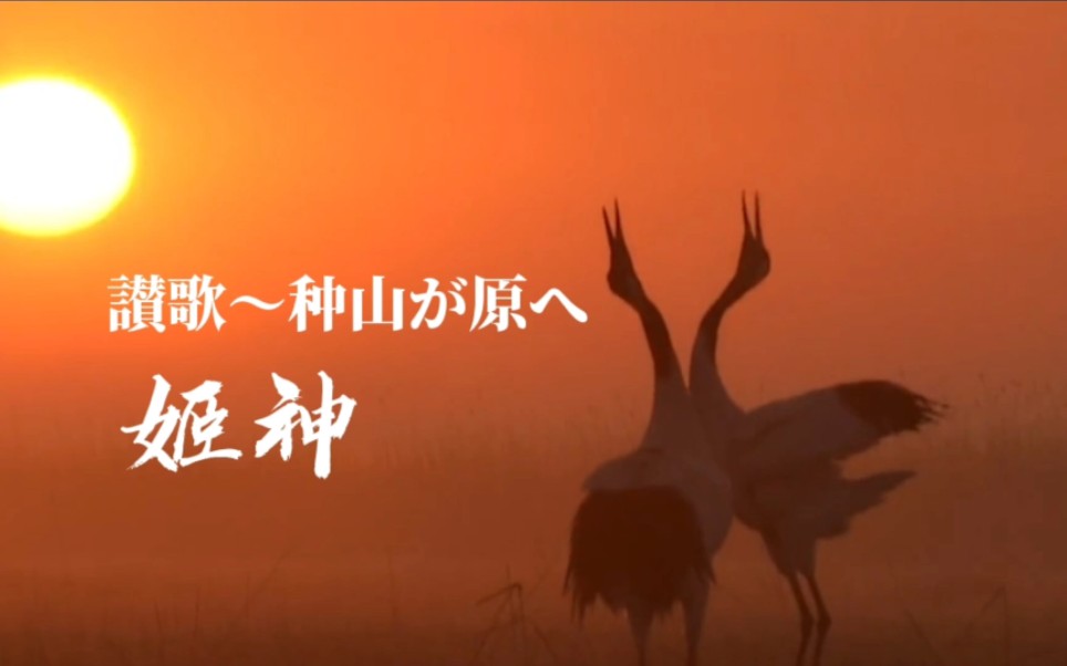 有人说“音乐是治愈心灵良药”，听完姬神的《赞歌～种山之原》我信了。