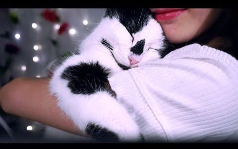 【asmr】锁骨女神 猫咪抱抱&咕噜声
