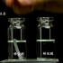 稀盐酸稀硫酸与镁锌铁铜反应
