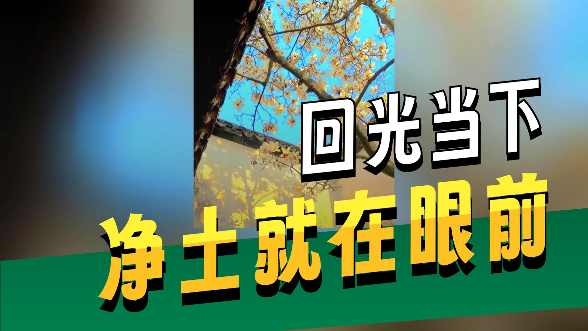 体佛法师开示：一念回光
